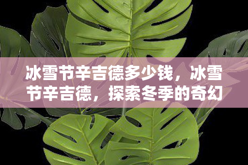 冰雪节辛吉德多少钱,冰雪节辛吉德,探索冬季的奇幻之旅 冰雪节辛吉德多少钱,冰雪节辛吉德,探索冬季的奇幻之旅