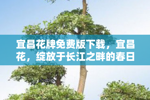 宜昌花牌免费版下载，宜昌花，绽放于长江之畔的春日盛宴