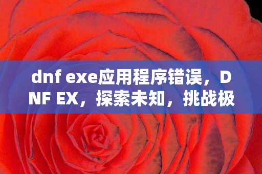 dnf exe应用程序错误，DNF EX，探索未知，挑战极限