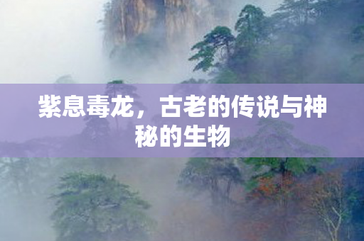 紫息毒龙，古老的传说与神秘的生物