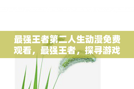 最强王者第二人生动漫免费观看，最强王者，探寻游戏王者的荣耀之路