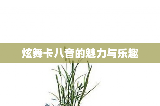 炫舞卡八音的魅力与乐趣