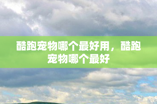 酷跑宠物哪个最好用,酷跑宠物哪个最好 酷跑宠物哪个最好用,酷跑宠物哪个最好