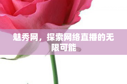 魅秀网，探索网络直播的无限可能