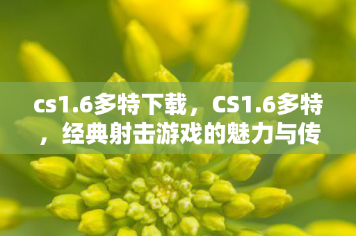 cs1.6多特下载，CS1.6多特，经典射击游戏的魅力与传承