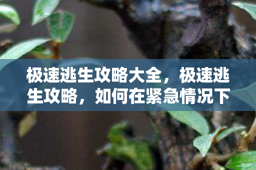 极速逃生攻略大全，极速逃生攻略，如何在紧急情况下迅速撤离