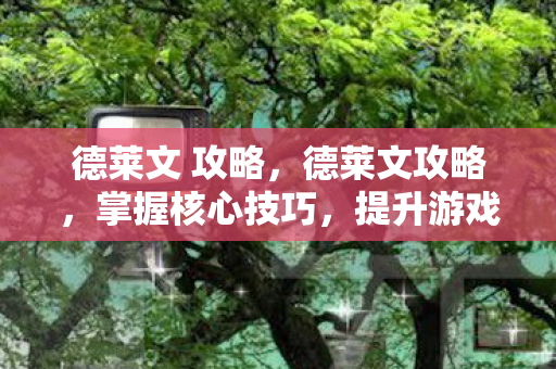 德莱文 攻略，德莱文攻略，掌握核心技巧，提升游戏实力