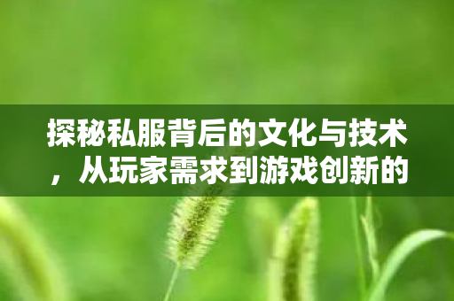 探秘私服背后的文化与技术，从玩家需求到游戏创新的桥梁