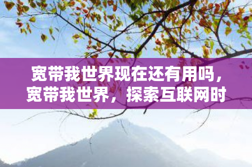 宽带我世界现在还有用吗，宽带我世界，探索互联网时代的无限可能