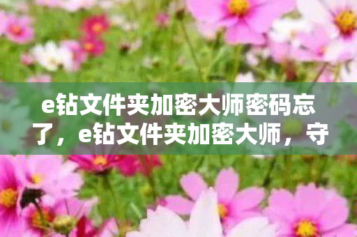 e钻文件夹加密大师密码忘了，e钻文件夹加密大师，守护数据安全，打造隐私堡垒