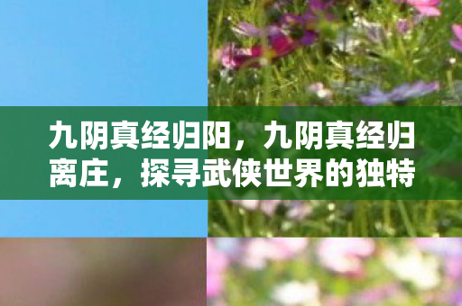 九阴真经归阳,九阴真经归离庄,探寻武侠世界的独特魅力 九阴真经归阳,九阴真经归离庄,探寻武侠世界的独特魅力