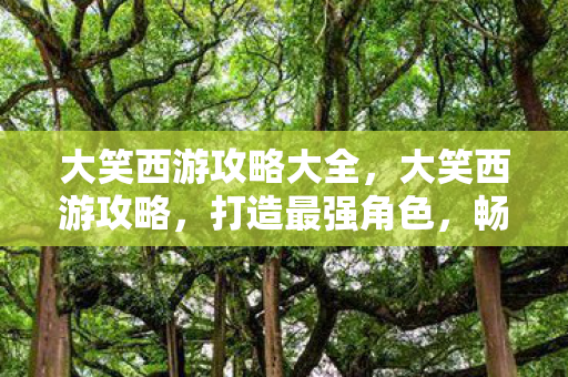 大笑西游攻略大全，大笑西游攻略，打造最强角色，畅游奇幻世界