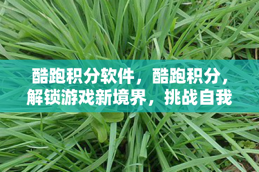 酷跑积分软件,酷跑积分,解锁游戏新境界,挑战自我新高度 酷跑积分软件,酷跑积分,解锁游戏新境界,挑战自我新高度