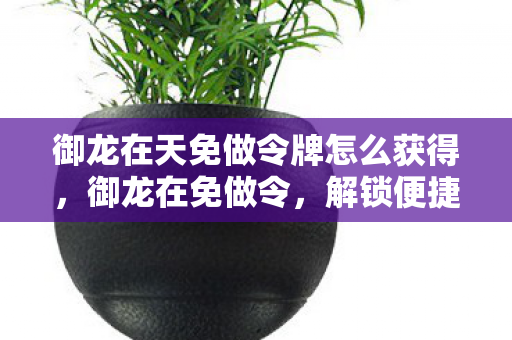 御龙在天免做令牌怎么获得,御龙在免做令,解锁便捷任务新体验 御龙在天免做令牌怎么获得,御龙在免做令,解锁便捷任务新体验