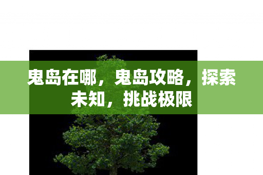 鬼岛在哪，鬼岛攻略，探索未知，挑战极限