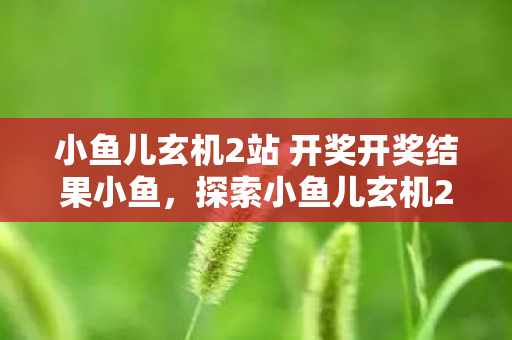 小鱼儿玄机2站 开奖开奖结果小鱼，探索小鱼儿玄机2站开奖，揭秘数字背后的惊喜与期待