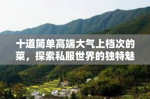 十道简单高端大气上档次的菜,探索私服世界的独特魅力 十道简单高端大气上档次的菜,探索私服世界的独特魅力