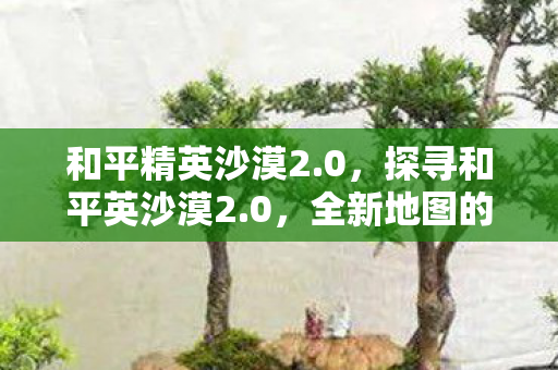 和平精英沙漠2.0，探寻和平英沙漠2.0，全新地图的奇妙之旅