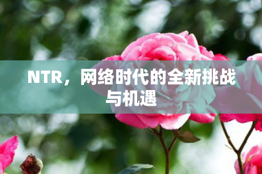 NTR，网络时代的全新挑战与机遇