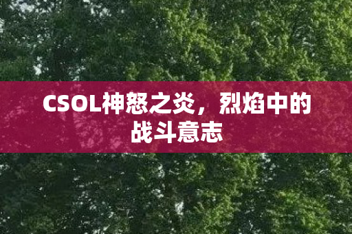 CSOL神怒之炎，烈焰中的战斗意志
