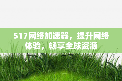 517网络加速器，提升网络体验，畅享全球资源