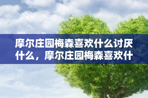 摩尔庄园梅森喜欢什么讨厌什么，摩尔庄园梅森喜欢什么