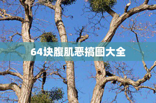 64块腹肌恶搞图大全