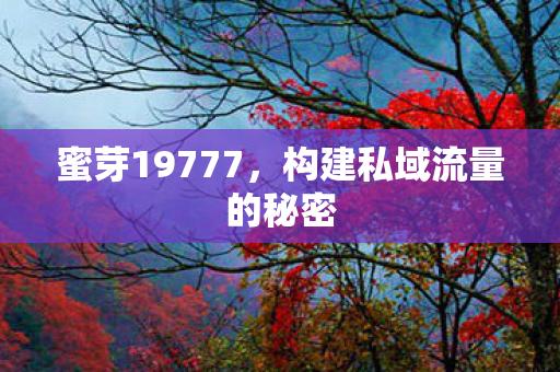 蜜芽19777，构建私域流量的秘密