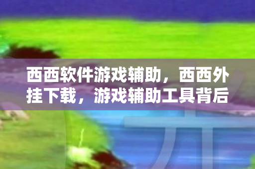 西西软件游戏辅助，西西外挂下载，游戏辅助工具背后的真相
