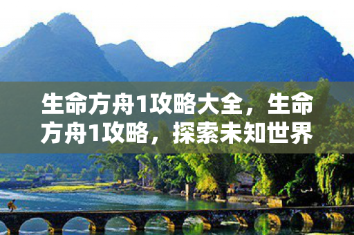 生命方舟1攻略大全，生命方舟1攻略，探索未知世界的生存指南