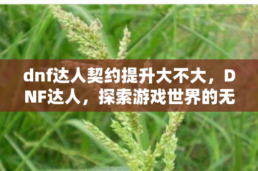 dnf达人契约提升大不大，DNF达人，探索游戏世界的无限可能