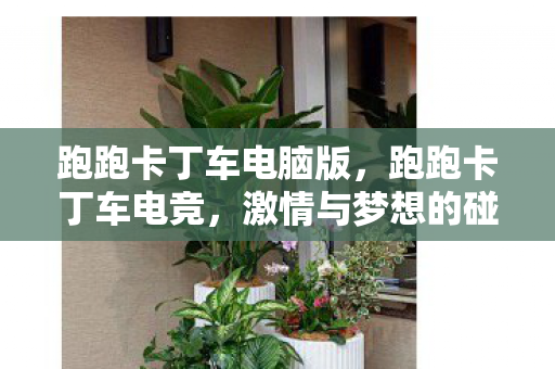 跑跑卡丁车电脑版，跑跑卡丁车电竞，激情与梦想的碰撞