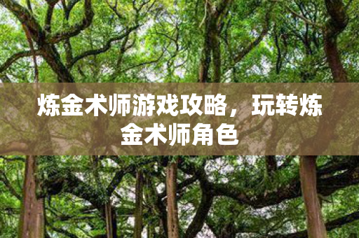 炼金术师游戏攻略,玩转炼金术师角色 炼金术师游戏攻略,玩转炼金术师角色