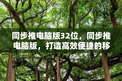 同步推电脑版32位,同步推电脑版,打造高效便捷的移动应用管理平台 同步推电脑版32位,同步推电脑版,打造高效便捷的移动应用管理平台