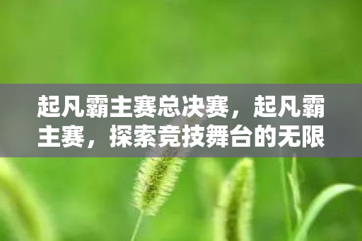 起凡霸主赛总决赛,起凡霸主赛,探索竞技舞台的无限可能 起凡霸主赛总决赛,起凡霸主赛,探索竞技舞台的无限可能