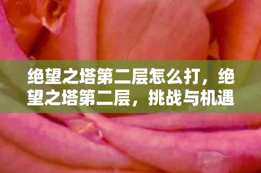 绝望之塔第二层怎么打,绝望之塔第二层,挑战与机遇并存的未知领域 绝望之塔第二层怎么打,绝望之塔第二层,挑战与机遇并存的未知领域