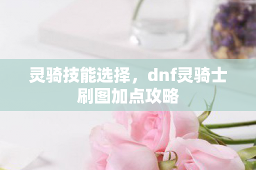 灵骑技能选择，dnf灵骑士刷图加点攻略
