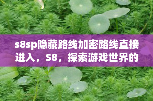 s8sp隐藏路线加密路线直接进入，S8，探索游戏世界的无限可能
