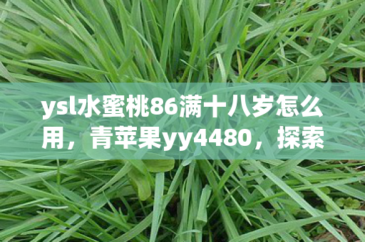 ysl水蜜桃86满十八岁怎么用，青苹果yy4480，探索游戏世界的奇妙之旅