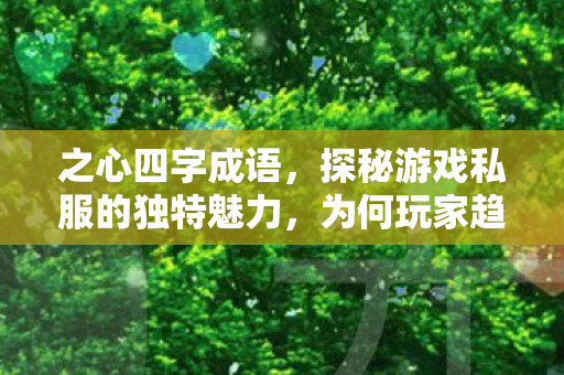之心四字成语，探秘游戏私服的独特魅力，为何玩家趋之若鹜？