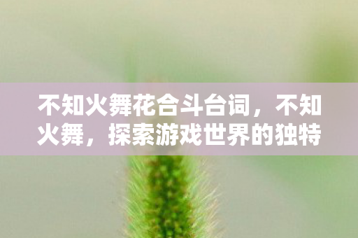 不知火舞花合斗台词，不知火舞，探索游戏世界的独特魅力