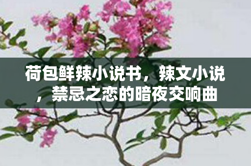 荷包鲜辣小说书，辣文小说，禁忌之恋的暗夜交响曲