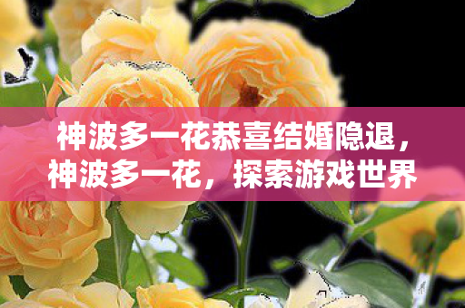 神波多一花恭喜结婚隐退，神波多一花，探索游戏世界的无限可能