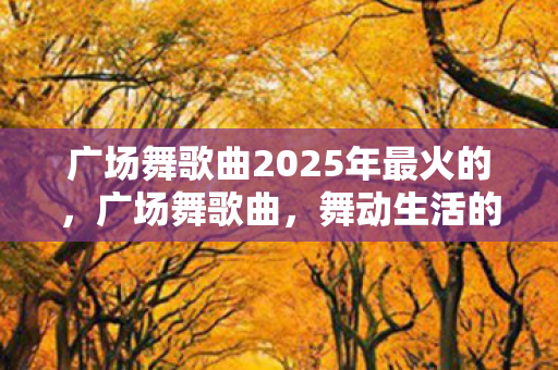 广场舞歌曲2025年最火的，广场舞歌曲，舞动生活的旋律