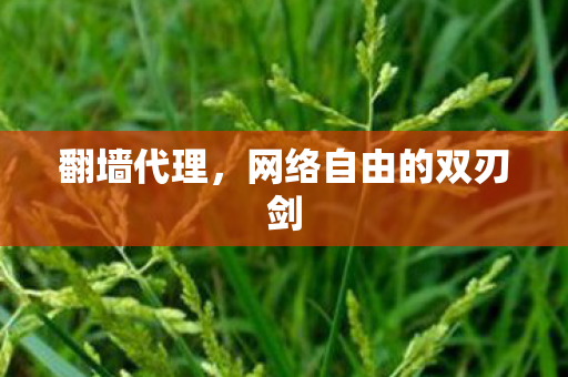 翻墙代理,网络自由的双刃剑 翻墙代理,网络自由的双刃剑