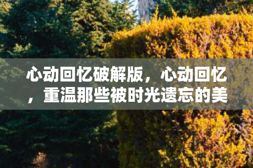 心动回忆破解版,心动回忆,重温那些被时光遗忘的美好瞬间 心动回忆破解版,心动回忆,重温那些被时光遗忘的美好瞬间