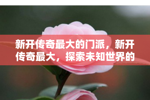 新开传奇最大的门派，新开传奇最大，探索未知世界的冒险之旅