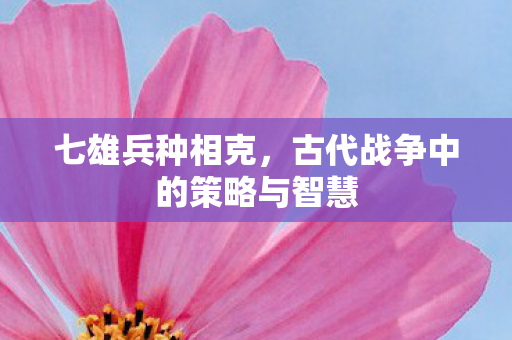 七雄兵种相克，古代战争中的策略与智慧