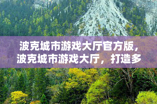 波克城市游戏大厅官方版，波克城市游戏大厅，打造多元化娱乐新体验