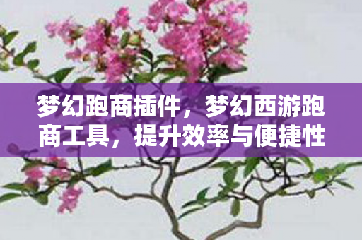 梦幻跑商插件，梦幻西游跑商工具，提升效率与便捷性的神器